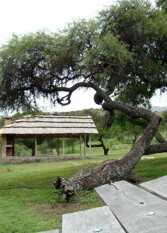 Foto 2 de la galería de Casas de Campo Rumi Bola en Nono