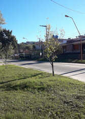 Foto 2 de la galería de Casa de Mary en Villa Carlos Paz