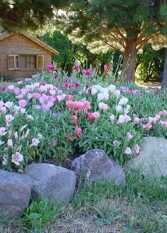 Foto 3 de la galería de Cabañas Carrileufú en Cholila