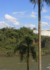 Foto 2 de la galería de Guatambu Apart en Puerto Iguazú