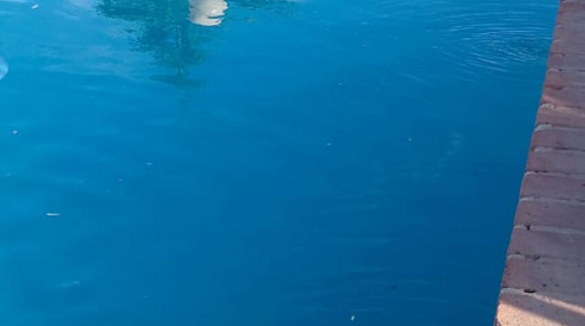 Foto principal de DEL VALLE CABAÑAS en Tanti