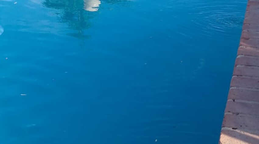 Foto principal de DEL VALLE CABAÑAS en Tanti