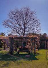 Foto 2 de la galería de Rincón Campestre en Concordia