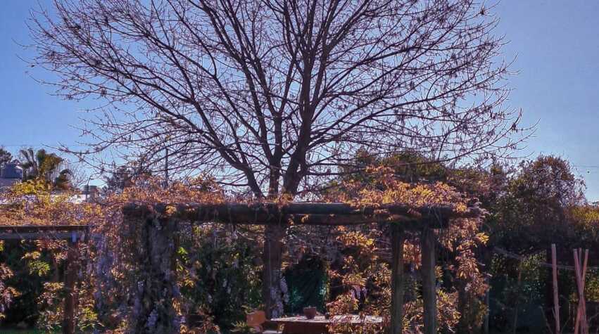 Foto principal de Rincón Campestre en Concordia