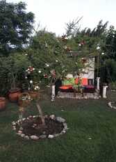 Foto 3 de la galería de Marly Complejo de Cabañas en San Roque