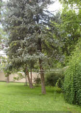 Foto 3 de la galería de Posada Los Ranchos - Chacras de Coria en Chacras de Coria