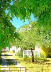 Foto 2 de la galería de Alojamiento Tarcila en Monte Hermoso