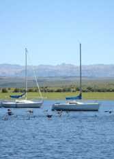 Foto 2 de la galería de La Casa del Lago en Los Molinos