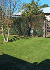 Foto 3 de la galería de Vistas del Peñón en Sierra De Los Padres