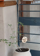 Foto 2 de la galería de Acuarela Apart en Mina Clavero