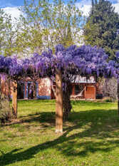 Foto 4 de Finca La Guadalupe en San Rafael