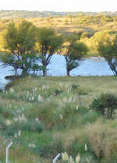 Foto 2 de la galería de Casa Antope en La Florida