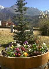 Foto 3 de la galería de Casas Postal de los Andes en Potrerillos