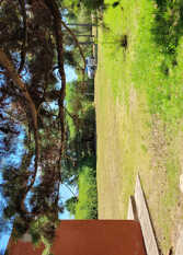 Foto 2 de la galería de Casa de Campo en Falda Del Carmen