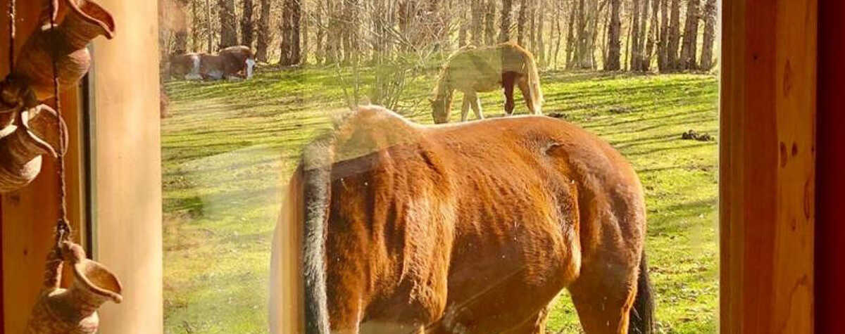 Foto principal de Chacra San Martin 1 ha. en San Martín De Los Andes