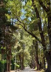 Foto 4 de LOFT MIC en Chacras de Coria