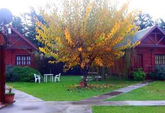 Foto 1 de la galería de El Pinar de Baradero Complejo de Cabañas en Baradero