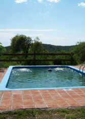 Foto 2 de la galería de Cabañas Del Algarrobo en La Serranita