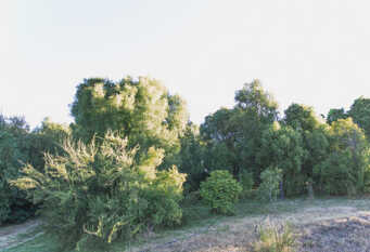 Foto 1 de la galería de Cabañas Assisi en El Hoyo