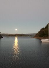 Foto 3 de la galería de La Cabaña en Villa Pehuenia