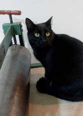 Foto 2 de la galería de B&B Garden Atelier en La Cumbre