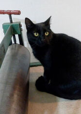 Foto 2 de la galería de B&B Garden Atelier en La Cumbre