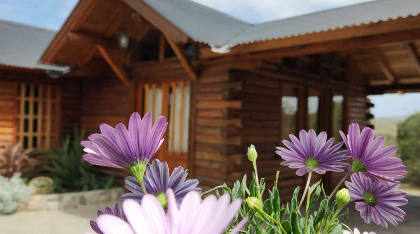 Foto principal de Cabañas Arabelas en Villa Giardino