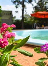 Foto 2 de la galería de Cabañas de la Selva en Obera