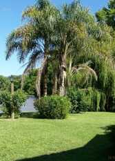 Foto 3 de la galería de Cabañas La Mechita en Tigre