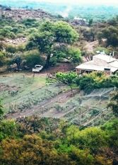 Foto 2 de la galería de Quinta Finca Los Morteritos en Quebrada De Los Pozos