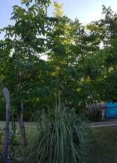 Foto 2 de la galería de Nono  YERBA BUENA Departamentos y Duplex en Nono