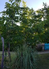 Foto 2 de la galería de Nono  YERBA BUENA Departamentos y Duplex en Nono