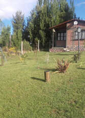 Foto 3 de la galería de Cabañas Los Coirones en Potrerillos