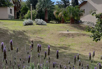 Foto 1 de la galería de Cabañas Villa Celina en Palo Labrado