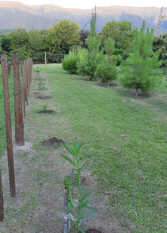 Foto 4 de Cabañas Villa Celina en Palo Labrado