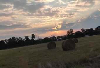 Foto 1 de la galería de Quinta verde en Villars