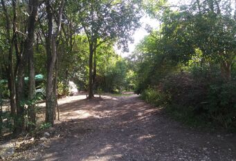 Foto 1 de la galería de CASA EN EL BOSQUE en Salsipuedes