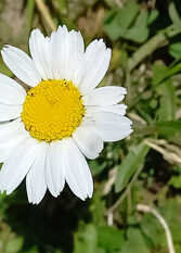 Foto 2 de la galería de Cabaña La Morenita en Villa La Angostura