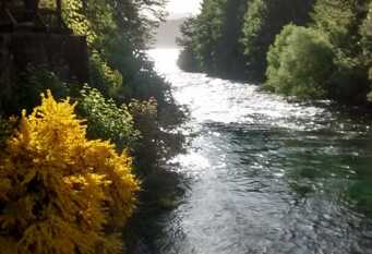 Foto 1 de la galería de Cabaña La Morenita en Villa La Angostura