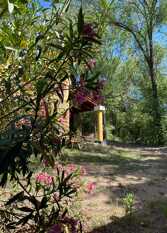 Foto 3 de la galería de Cabañas Olmos de la Colina en Santa Rosa De Calamuchita