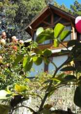 Foto 3 de la galería de Cabañas Vientos del Sur en San Carlos De Bariloche