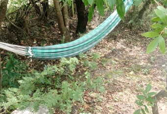 Foto 1 de la galería de Playa de las Varas en San Javier