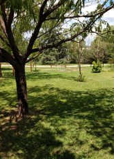 Foto 4 de Los Chañares Complejo de Cabañas en Arroyo De Los Patos