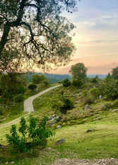 Foto 3 de la galería de Talamolle Cabañas de Montaña en Athos Pampa
