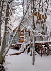 Foto 4 de Ikaukayen Cabañas de Montaña en Ushuaia