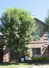 Foto 2 de la galería de Bungalows Emanuel 1y2 en Colón