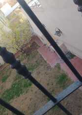 Foto 3 de la galería de GP en Ciudad De Mendoza