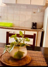 Foto 3 de la galería de Los Naranjos PH en Mar Del Plata