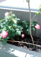 Foto 3 de la galería de Cabaña LA VIVI en Villa Carlos Paz