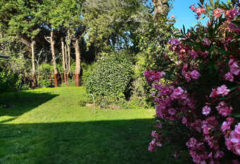 Foto 1 de la galería de La Casa del Viejo Manzano en San Martín De Los Andes